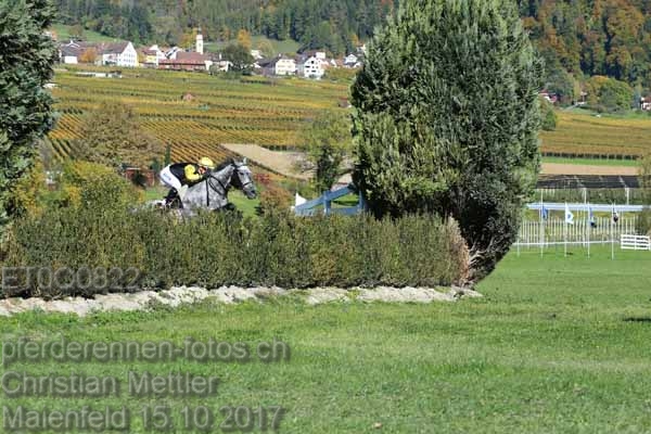 ET0Q0822 prot